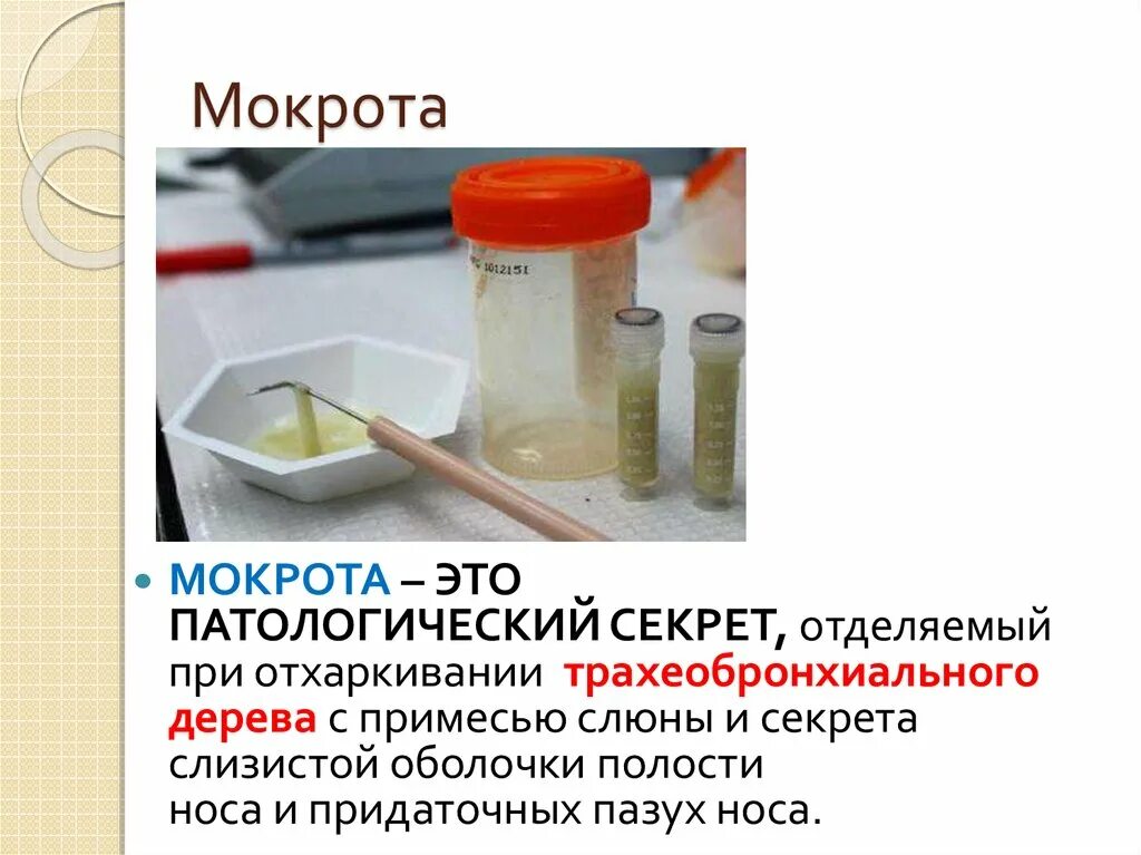 Гнойно слизистая мокрота.