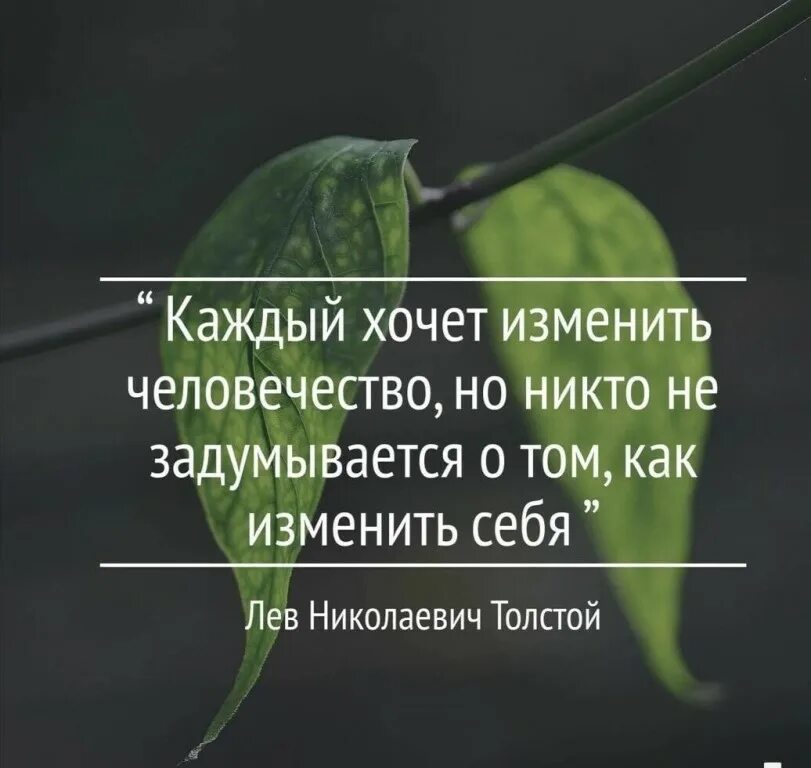 Мотивация на успех. Каждый желающий в определенное. Если у людей есть общие воспоминания не могут быть чужими. Толстой цитаты. Лев николаевич толстой цитаты.