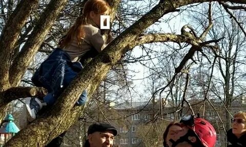 Что делать если застрял на дереве