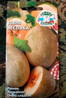 Дыни раннеспелые