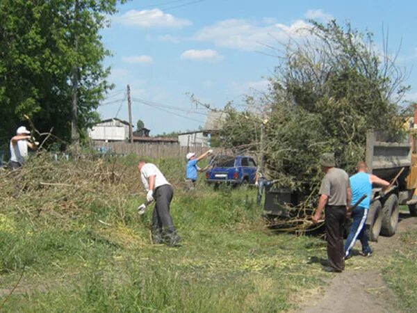 Погода по часам земетчино