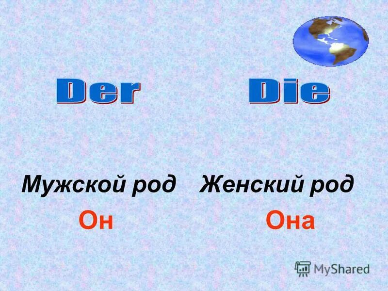 кольраби салями женский род. склонение числительных два три четыре. несколько женских род. мужской женский средний род. мужской род женский род.