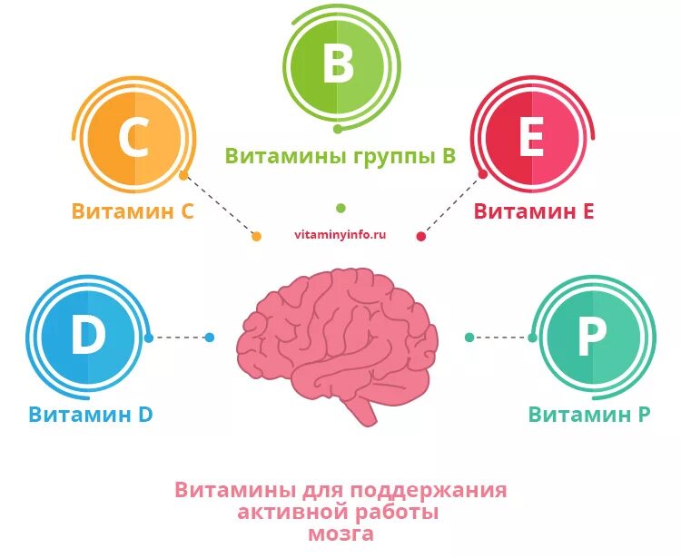 Основы работы мозга. Витамины для мозговой деятельности и памяти взрослым. Какой витамин улучшает память и работу головного мозга. Какие витамины нужны для памяти и работы мозга. Какой витамин развивает память.