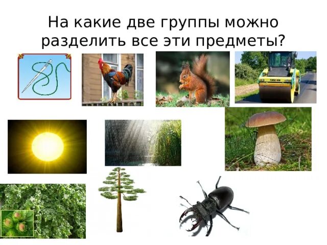 На какие группы можно разделить эти треугольники. На какие группы можно разделить предметы. на какие группы можно разделить все предметы которые нас окружают. на какие группы можно разделить изображенные предметы.