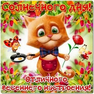 Добрый день и хорошего настроения картинки смешные