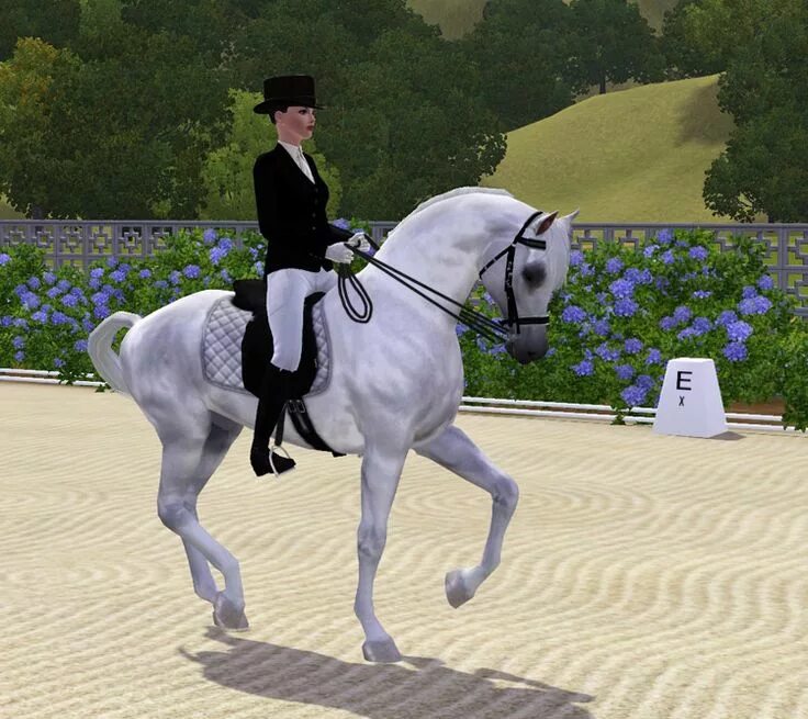 Симс верховая езда. Симс 3 лошади. SIMS 3 Horse. The SIMS 3 питомцы Андалузская лошадь. Симс 3 питомцы лошади.