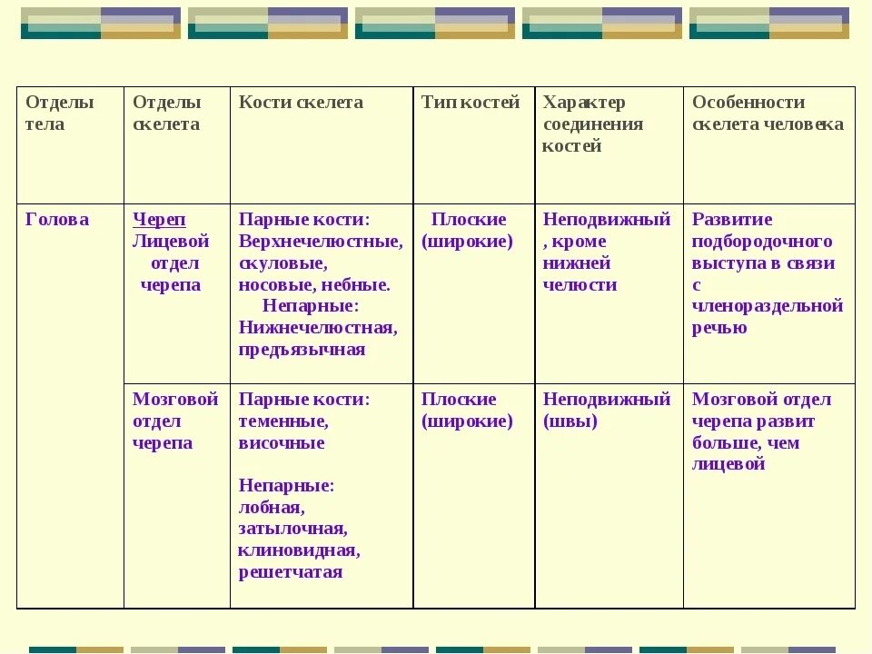 Отдел кости функции. Отделы скелета человека таблица 8 класс биология. Скелет человека таблица по биологии 8 класс отдел скелета кости. Опишите основные отделы скелета человека таблица. Таблица по биологии 8 класс строение скелета человека.