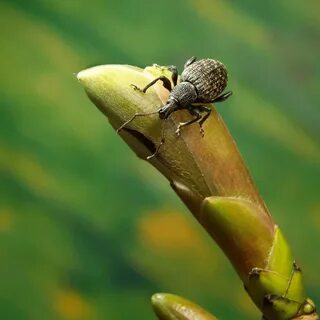 British wildlife photography awards 2024