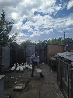 Чп курской