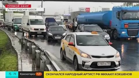 Куда 24
