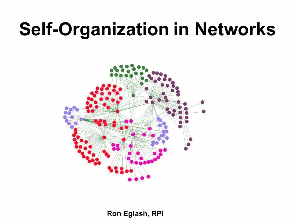 Networked organization. Self organization. self organizing network. a networked self. network flow in graph.