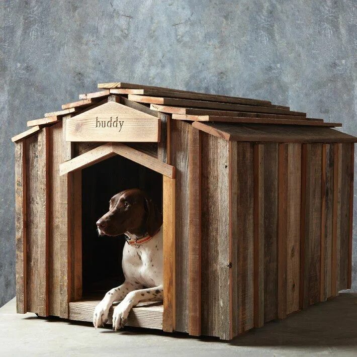 Дог Хаус. Домик для собаки. Дизайнерские домики для собак. Будка для собаки. Dog house dog or alive demo