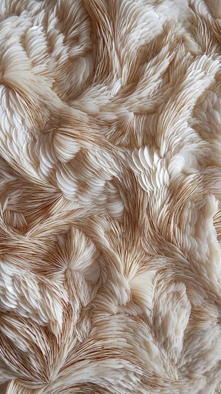 Wool pattern
