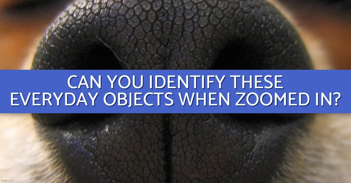 When identified. Relative clauses в английском языке. Дактилоскопия презентация. Types of adverbs. When identified.