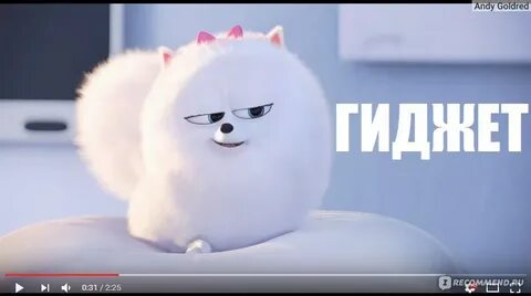 Спас пет