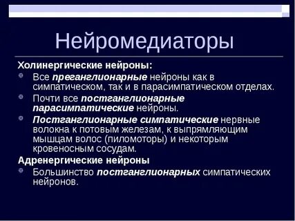 Холинергические нейроны