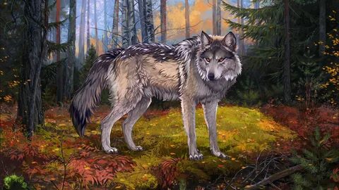 Wolf m8