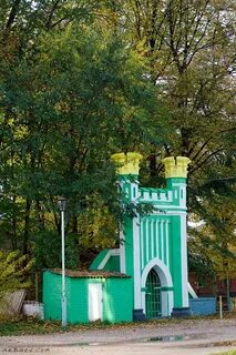 Вьюнки клинцы