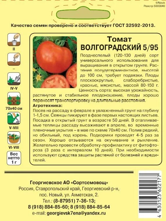 Томат волгоградский скороспелый урожайность. Волгоградский помидор 5/95 описание. Сорт томатов Волгоградский 5/95. Томат Волгоградский скороспелый 323. Томат Волгоградский 5/95 характеристика.