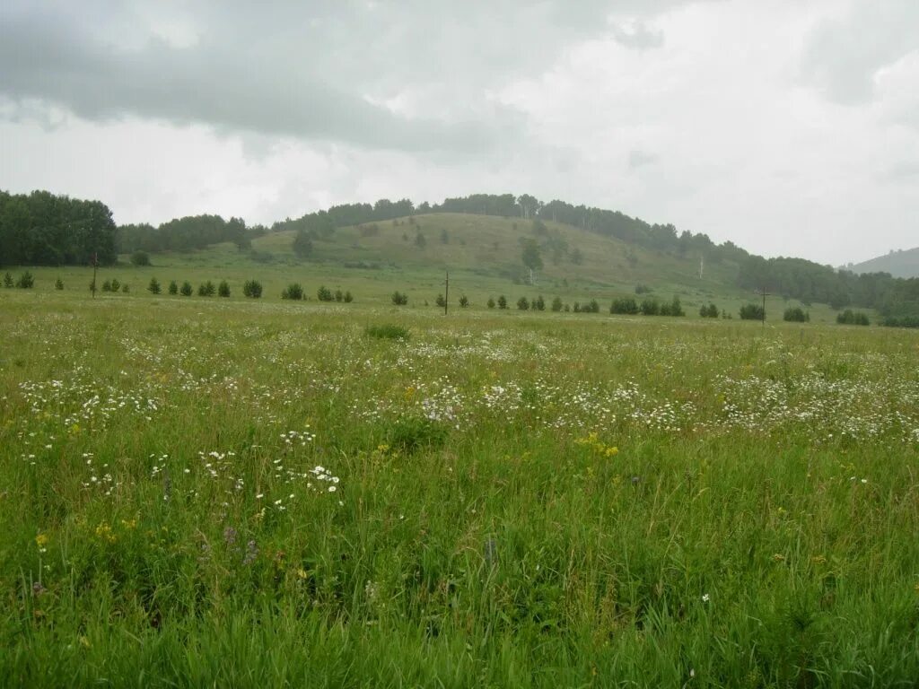 Ивановка алтайский край