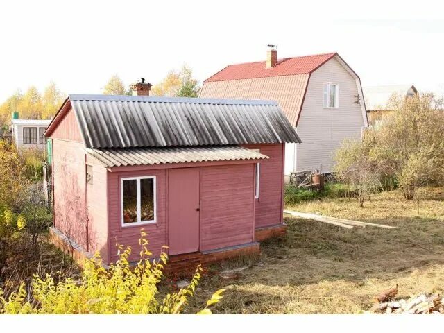 Дачный домик за 200 тысяч. Дача за 200 тысяч. Баня за 100 тысяч. Домик в садовом товариществе. Нарва дачи.