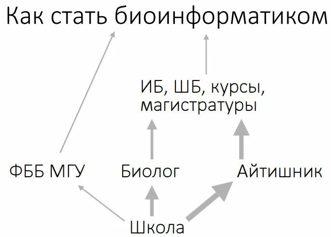 Биоинформатика магистратура. Биоинформатика инфографика. центр геномики и биоинформатики. как стать биоинформатиком если ты биолог.
