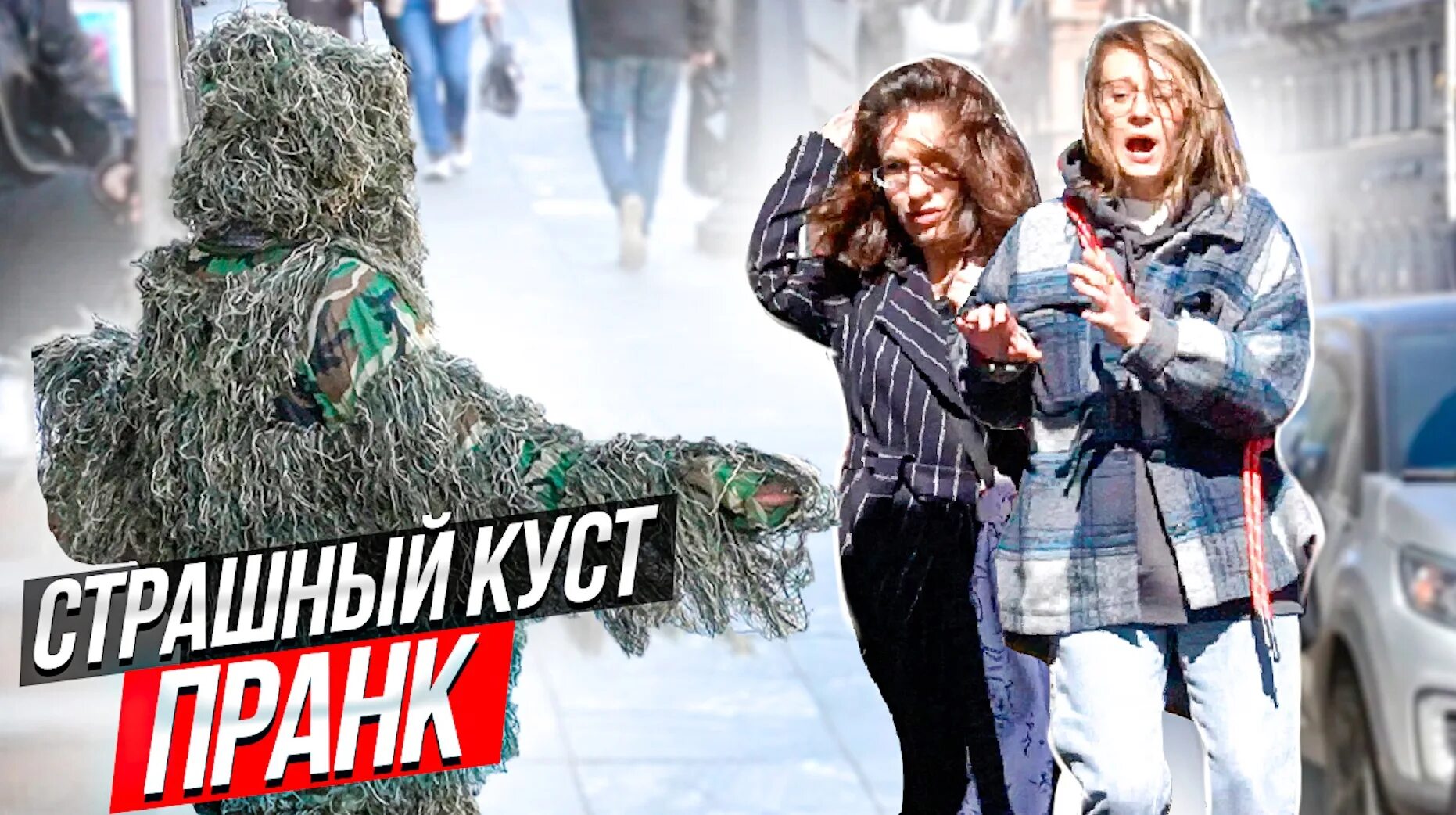 живой куст пугающий людей