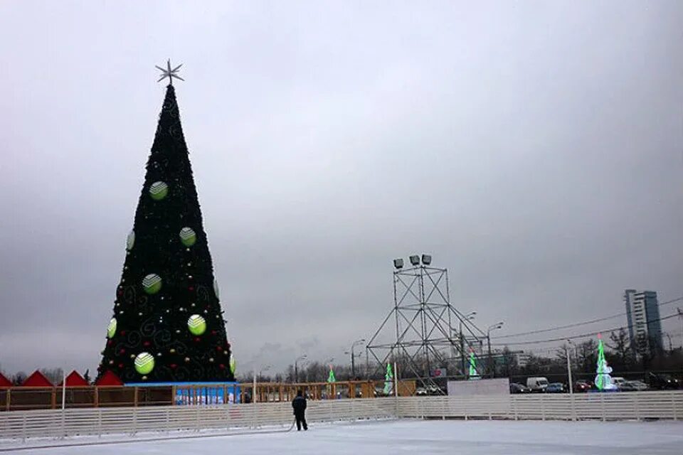 Высокая гора елка