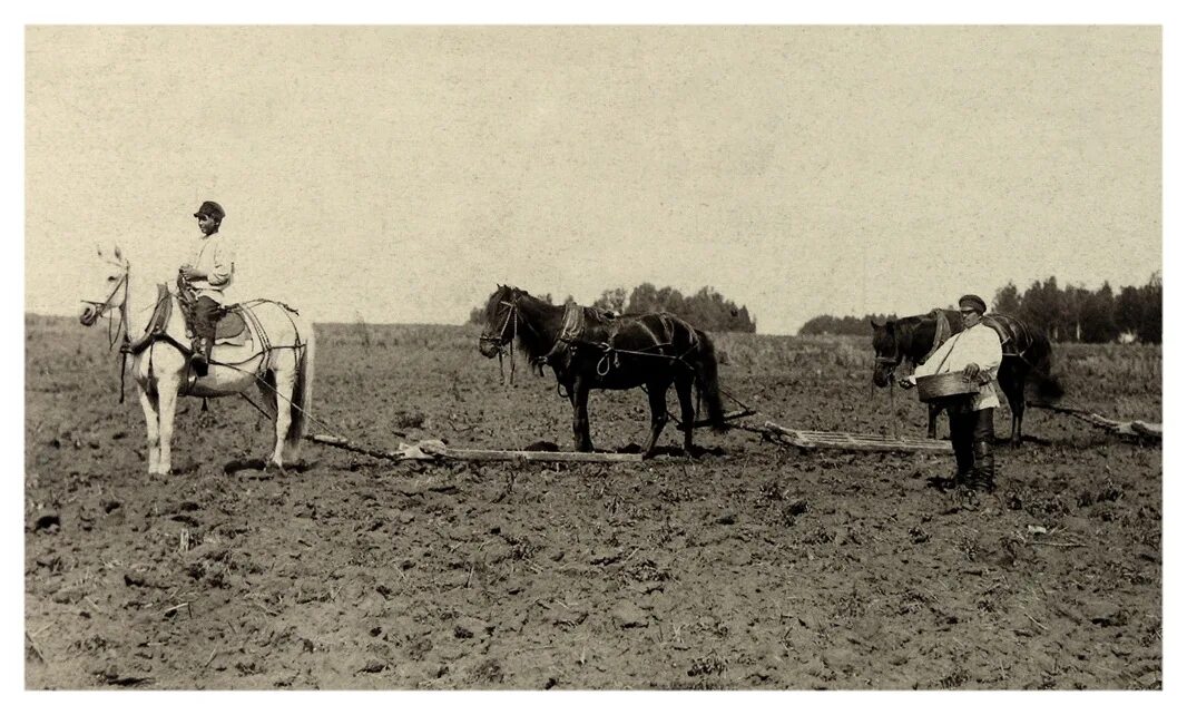 экономика сша 19 век. развития сельского хозяйства в россии 19 века. развитие хозяйства в начале 19 века. экономика великобритании в 19 веке начале 20 века. сельское хозяйство германия 19 век.