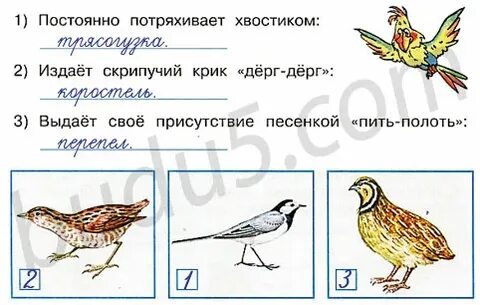 Выдает свое присутствие песенкой
