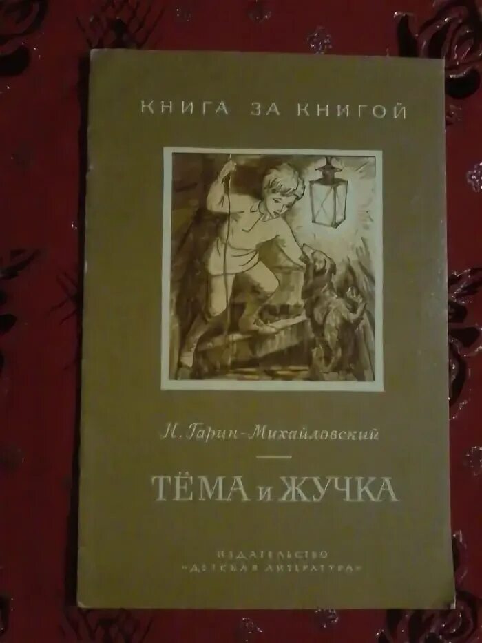 Н г михайловский тема и жучка читать. Гарина михайловского тёма жанр. н.г.гарин-михайловский тёма и жучка конкурс чтецов. тема и жучка книга ссср. литература рассказ тема и жучка.