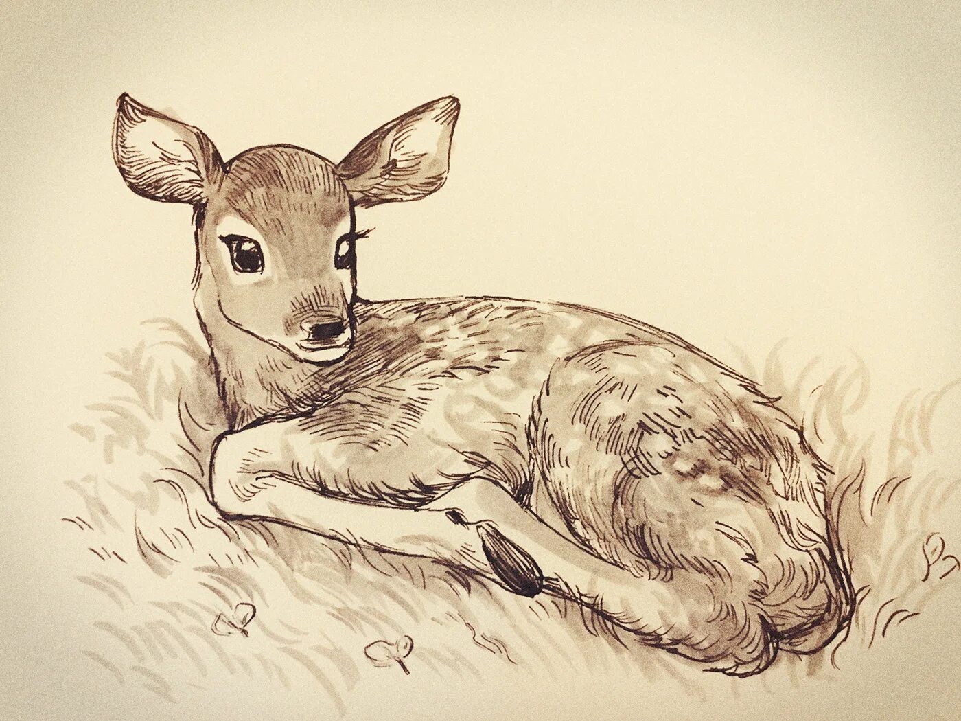 Drawing examples
