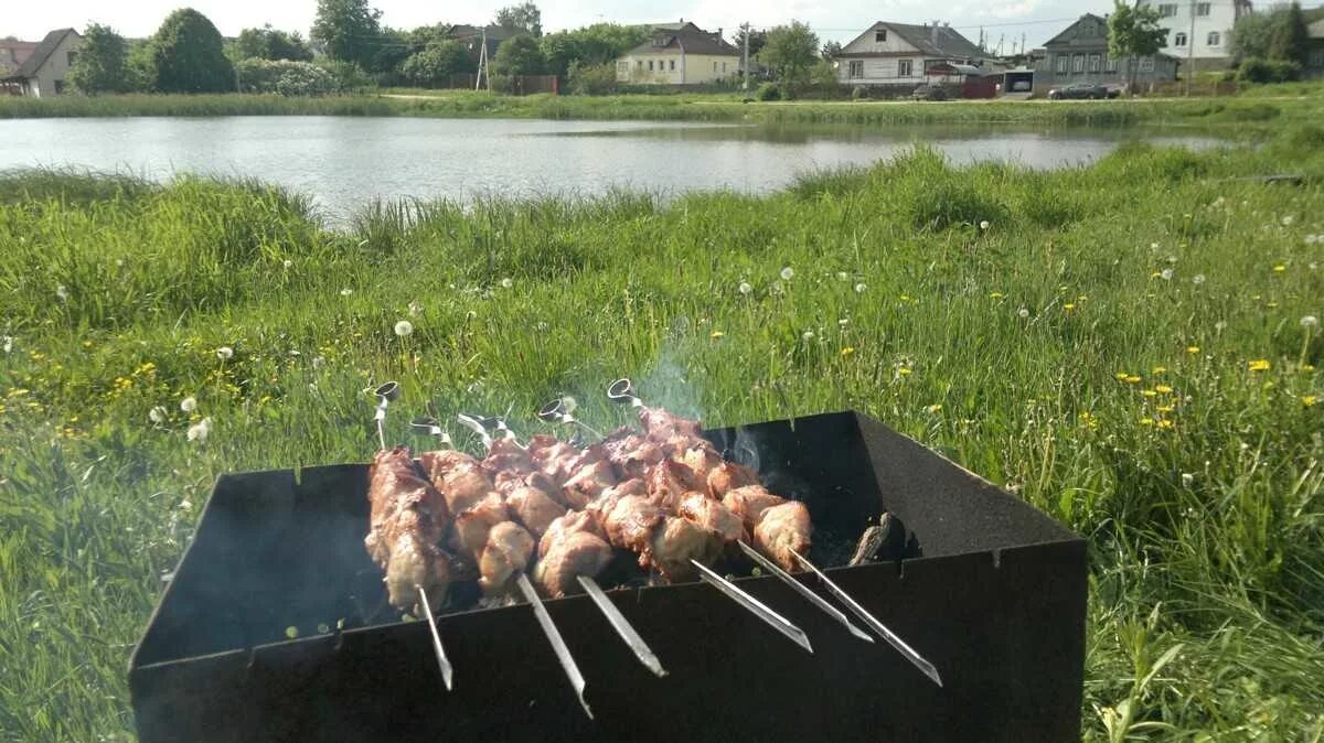 Шашлыки на природе. Шашлык на мангале. Шашлыки на природе летом. Мангал на природе. Можно ли жарить шашлык в лесу