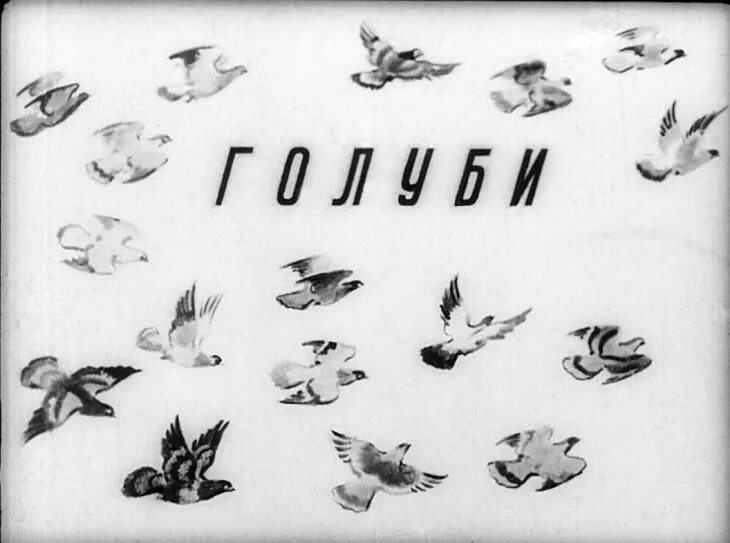 Альбом с голубем