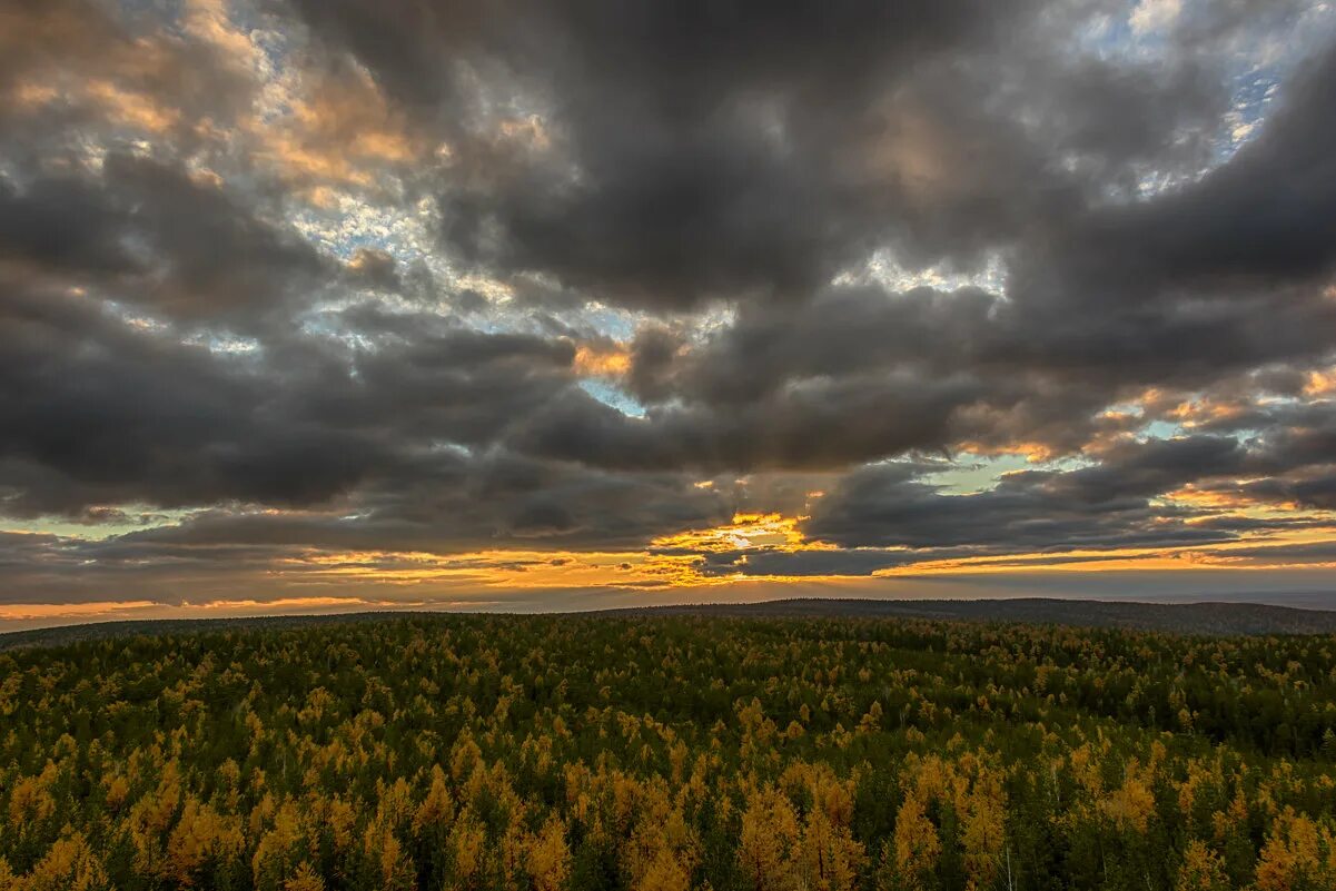 Утреннее небо осенью. Осень небо. Осеннее небо. Серое осеннее небо. Осеннее небо похоже на.