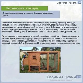 Правило курятника