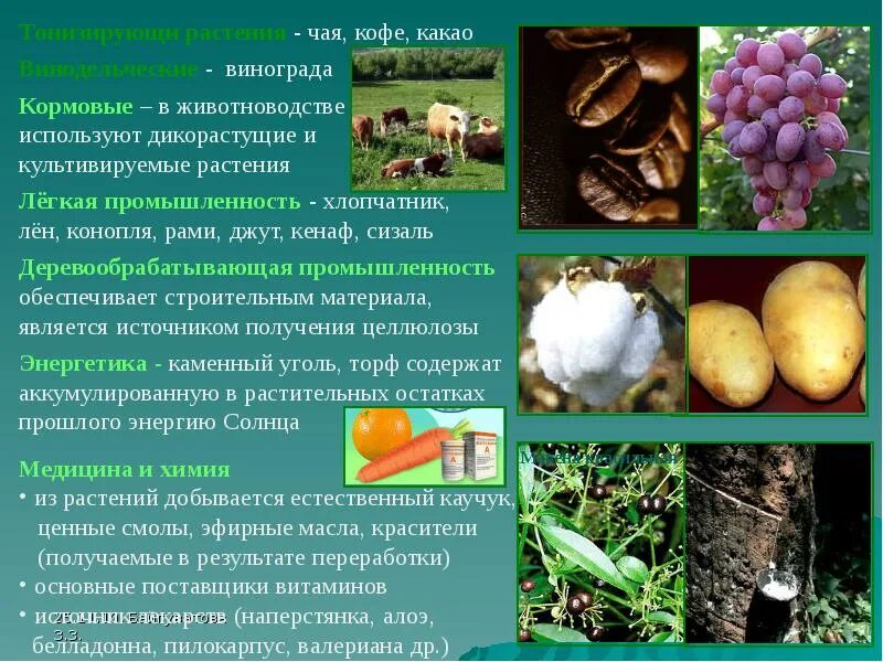 Подготовьте сообщение используя