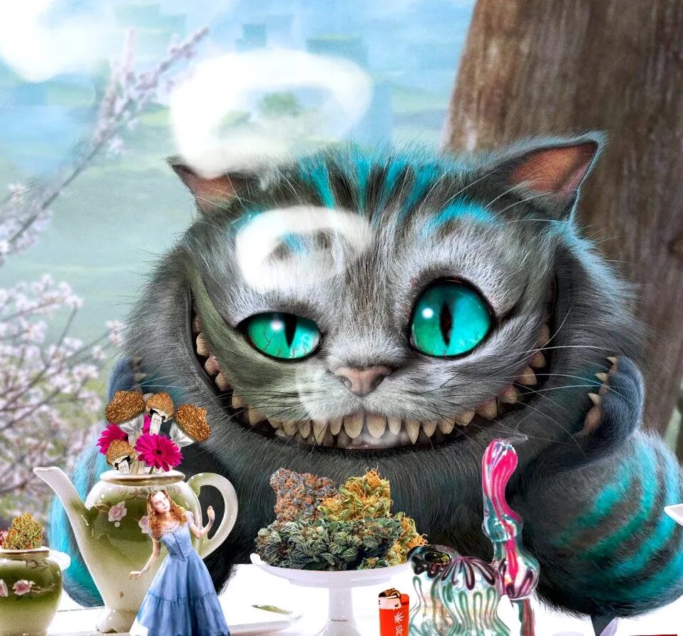 Алиса сделай кот. Алиса в стране чудес чеширский кот. чеширский кот из алисы в стране чудес. алиса в стране чудес чешир. алиса в зазеркалье чеширский кот.