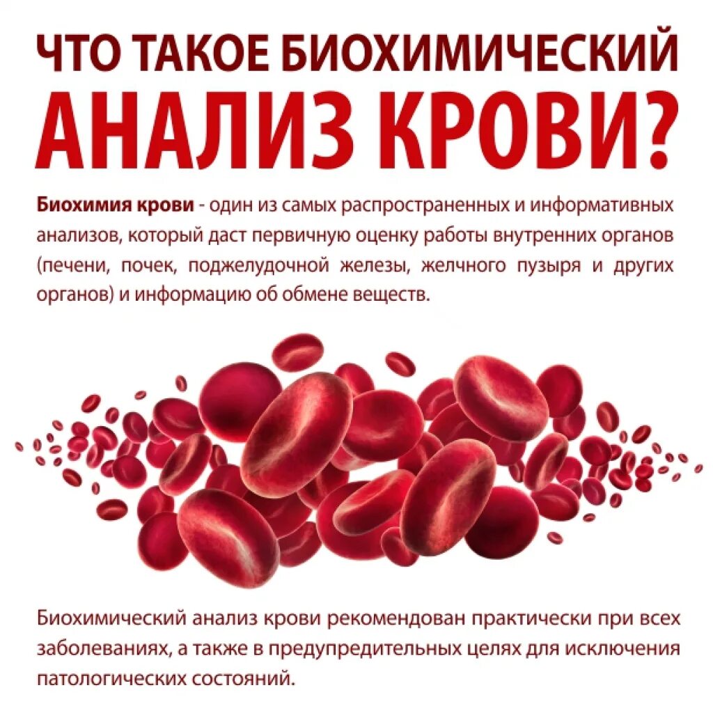 Как подготовиться к сдаче анализа на биохимию. Биохимия крови. Памятка к исследованию крови. Биохимическое исследование крови памятка для пациента. Памятка подготовка к биохимическому анализу крови.