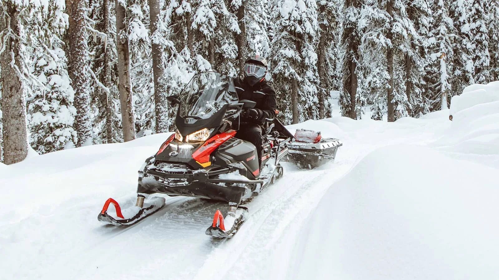 Снегоход Ski Doo Skandic SWT 900 Ace. Skandic WT 900 Ace 2022. Снегоход BRP Skandic Sport 600 EFI. Снегоходы БРП 2022. Снегоход ski doo 900