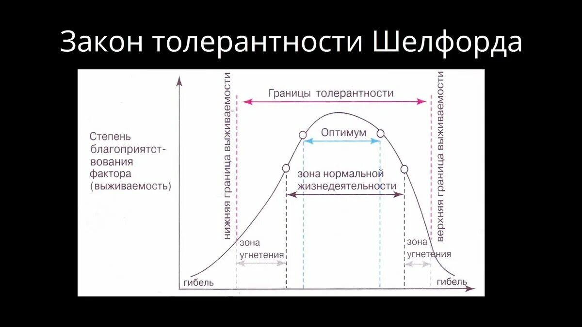 Рост толерантности пав. Закон Шелфорда закон толерантности. Правило толерантности Шелфорда. Закон толерантности Шелфорда график. Закон толерантности Шелфорда и Либиха.