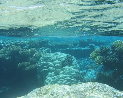Белое море под водой