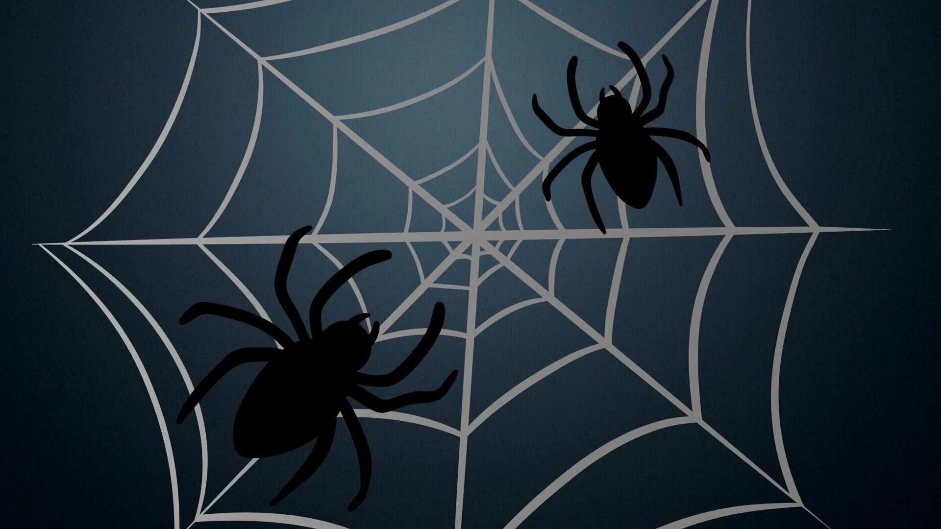 Живые обои паук. Паук на паутине. Пауки на Хэллоуин. Черный паук. Паук картина.