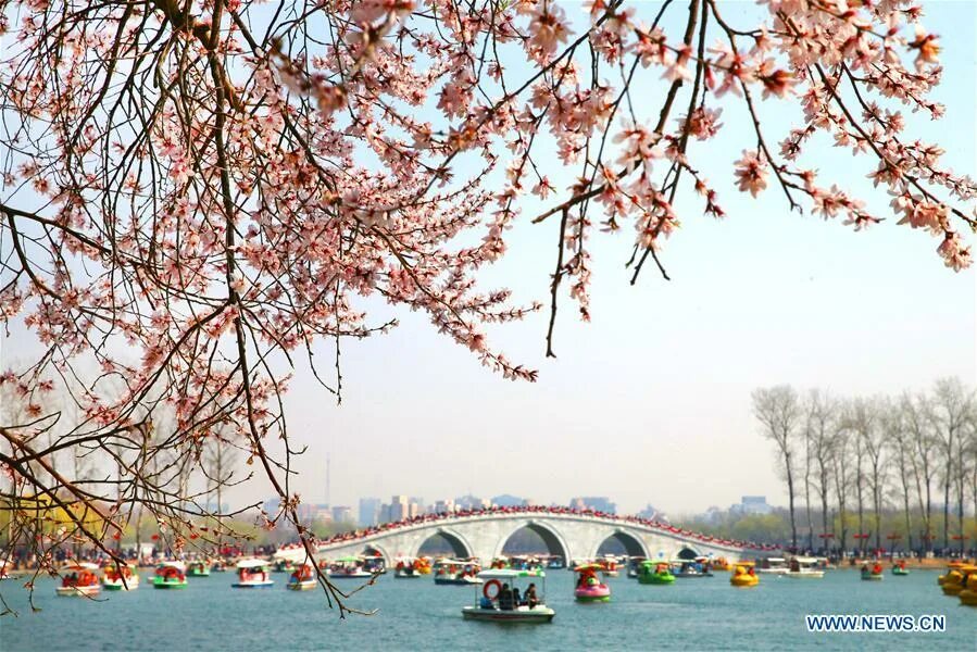 Выходные в китае в марте. Китай парк Ихэюань цветение весной. Март в Китае.