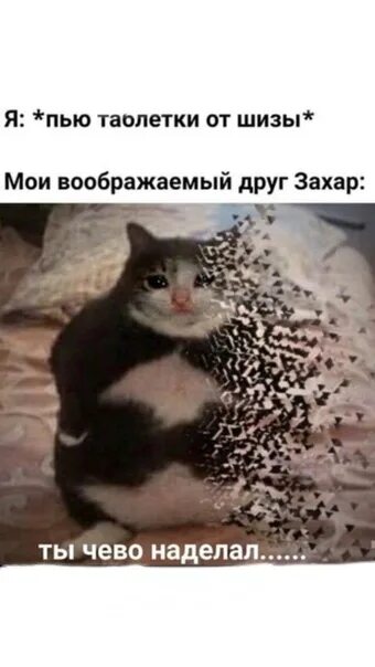 Кот с тонометром мем Создать мем "котэ, кот с тонометром, котик" Картинки