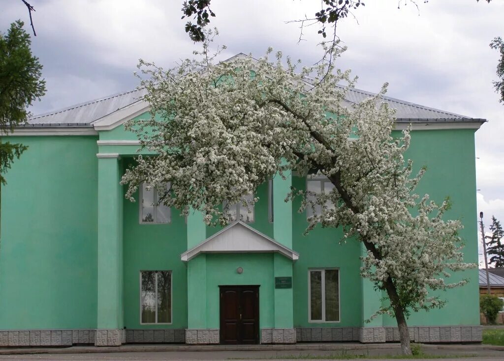 Погода село зырянское томской. Томская область Зырянский район село Зырянское. Центр культуры Зырянского района Томской области. Центр - центр культуры Зырянского района Томской области.. Дворец культуры Томск.