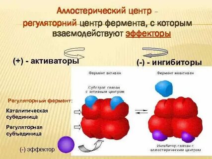 Ферментами называют вещества