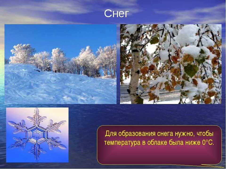 Для чего нужен снег. Почему падает снег. Чем полезен снег для природы. Польза снега в природе. Почему снег надо.