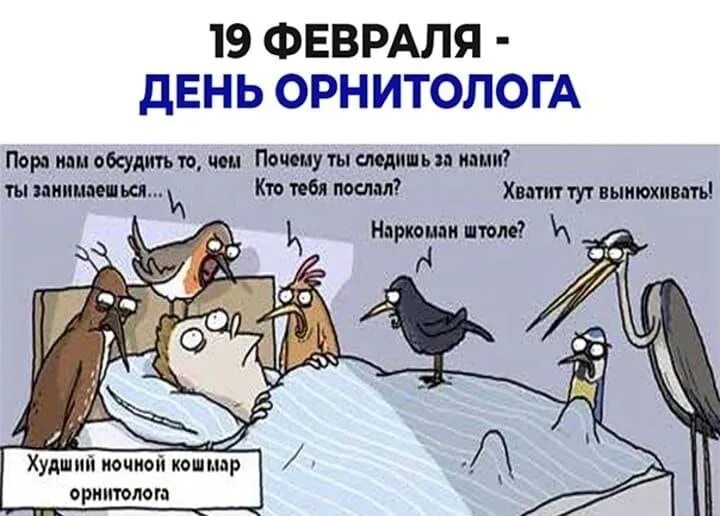 Я подарю тебе худший кошмар. День орнитолога. День орнитолога 19 февраля. С днем орнитолога поздравления. День орнитолога открытки.