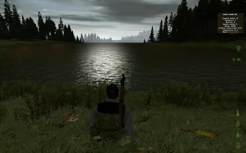 Dayz отзывы